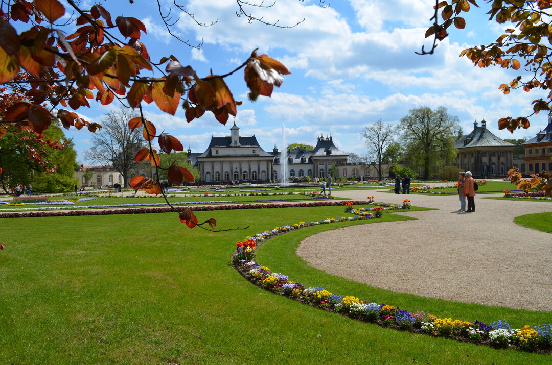 Gartenanlagen, wie hier Schlossgarten Pillnitz bei Dresden, sollten nicht nach Inzidenzzahlen geschlossen werden. Das fordert Steffen Schller, Sprecher der Initiative Parks und Grten Deutschland (IPGD) und Geschftsfhrer des Elbauenparks Magdeburg.