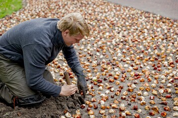 Frhjahr 2021: Die Blumenzwiebeln werden gesteckt.