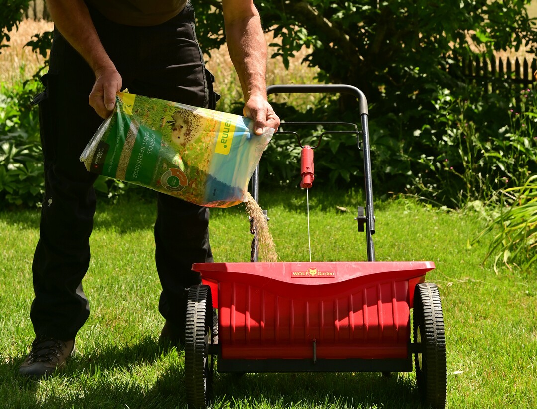 Stickstoffarmer Spezialdünger für den Rasen im Herbst