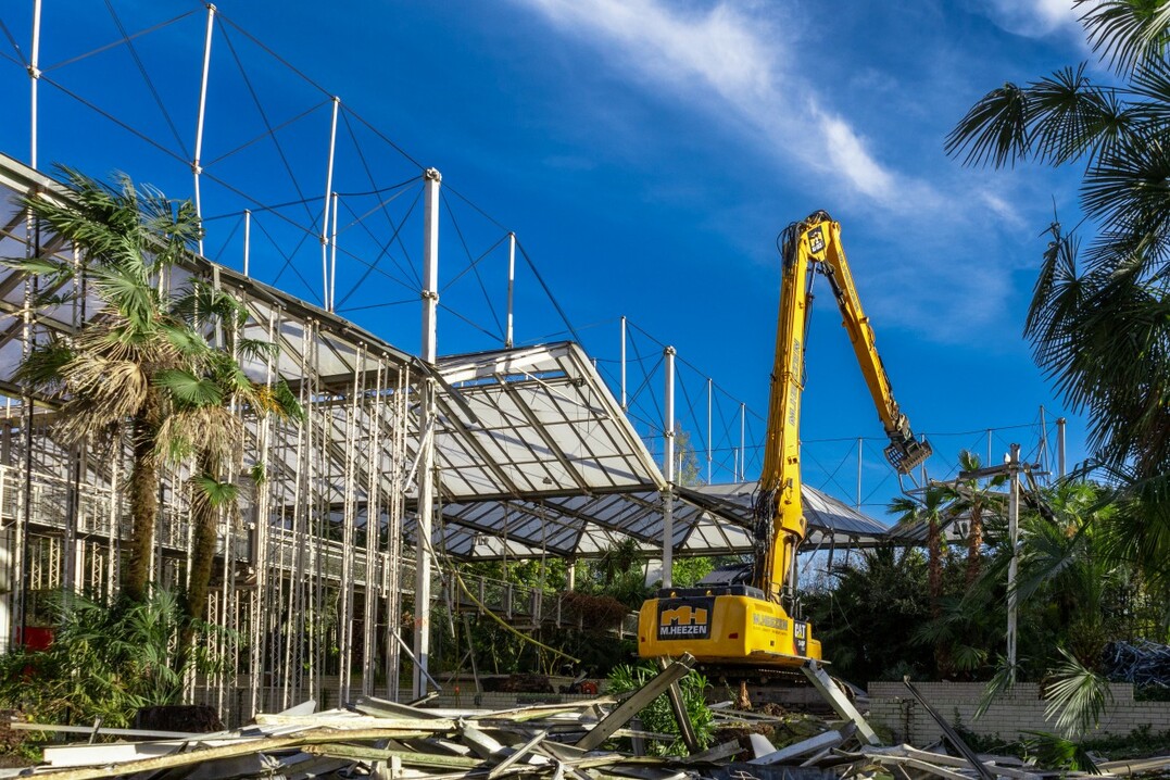 Das Gewchshaus Casa Verde wird abgerissen und macht dem neuen mediterranen Gartenbereich Platz.