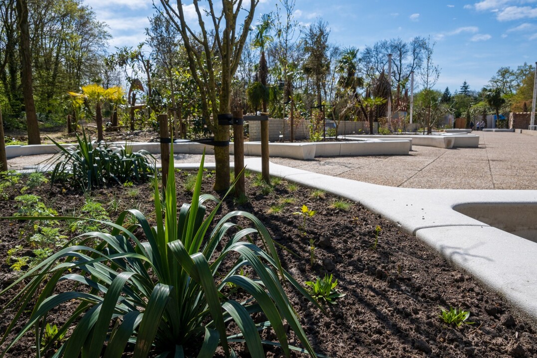 Der neue mediterrane Gartenbereich und der Boulevard "Plaza Verde"