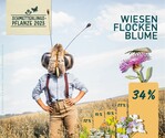 Centaurea jacea, die Wiesen-Flockenblume, ist Schmetterlingspflanze 2024