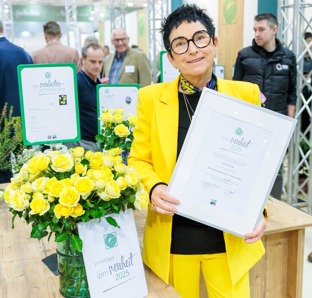 In der Kategorie Schnittblumen wurde mit Rosa Hybrid Under the Stars Rosa Loves Me der Firma Roses Forever ApS aus Faaborg in Dnemark eine Besonderheit ausgezeichnet.