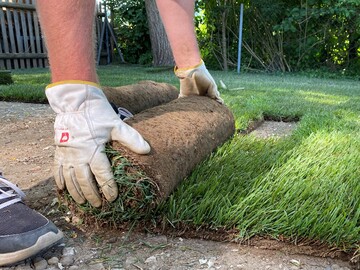 Saftiges Grn einfach selbst verlegen