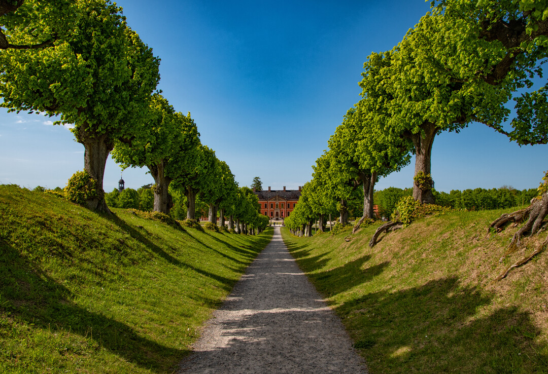 Sonderpreis Park-Allee in Mecklenburg-Vorpommern