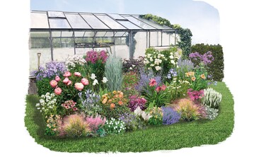 Blütenfest - das Trendbeet zum 100-Jahr-Jubiläum