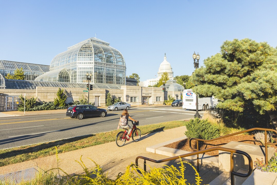 Der U.S. Botanic Gardens in Washington feiert Jubilum.