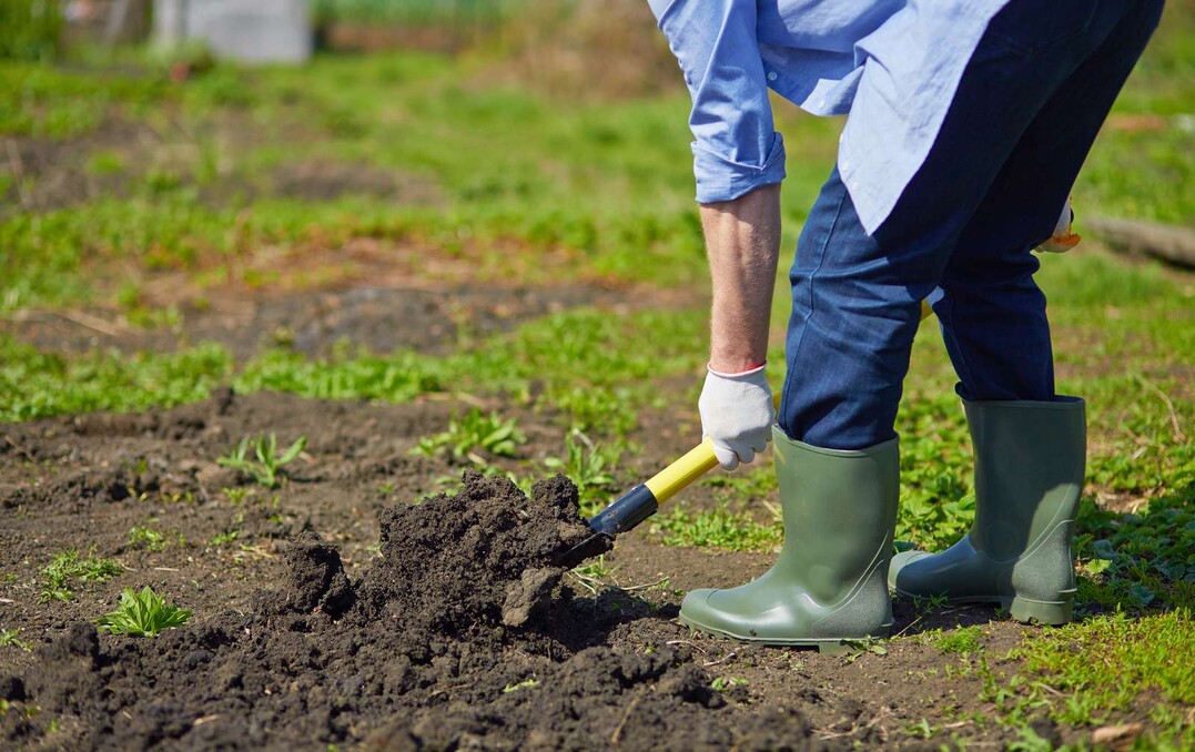 Umgraben ja oder nein? Gartenpraxis