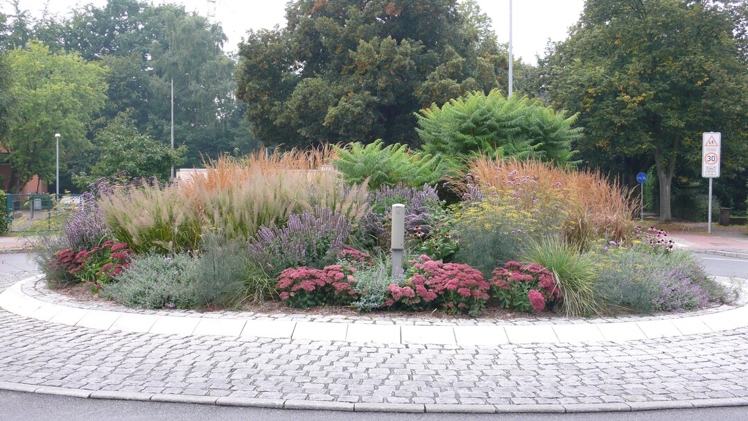Verkehrsinsel in Ahrensburg (Schleswig-Holstein), bepflanzt im Jahr 2012