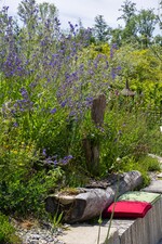 Sitzplatz mit Recyclingbank und Ochsenzunge