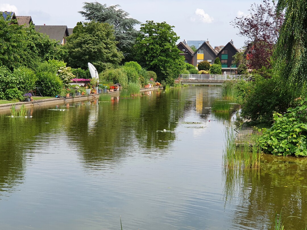 Zur Anpassung an den Klimawandel ist ein optimiertes Wassermanagement im bebauten Raum von Nöten. Regenwasserspeicherung und -nutzung statt Kanalisation ist das Gebot der Stunde, um Regenwasser beispielsweise für die Bewässerung des öffentlichen und privaten Grüns nutzen zu können.