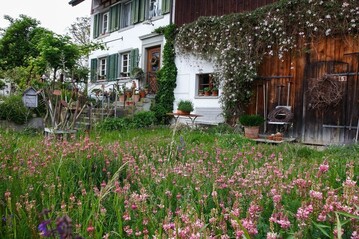 Stihl-Gartenbarometer: Der Trend geht weg vom gemhten Rasenflchen hin zur Wiese und zu weniger Ordnung im Garten.<br>