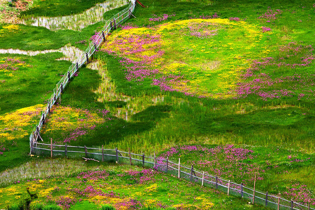 
The Beauty of Spring
von Zhigang Li, fotografiert in den Mountains in Diqing, Yunnan, China
