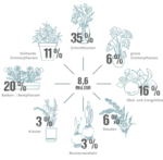Gesamtmarkt für Blumen und Zierpflanzen 2023 – Umsatzanteile der Marktsegmente in Deutschland zu Einzelhandelspreisen (Stand November 2023)