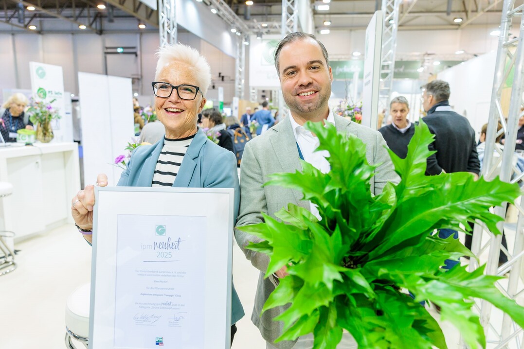 In der Kategorie Grne Zimmerpflanzen wurde die Asplenium antiquum Yuaspgio Gioia der Firma Vitro Plus B.V. aus Burgh-Hamsteede in den Niederlanden mit dem Titel IPM Neuheit 2025 ausgezeichnet.